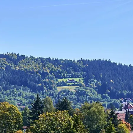 Apartment Am Weberfeld Bodenmais